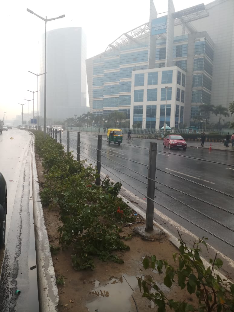 Delhi Weather: Heavy Rain On Valentine's Day Morning ...